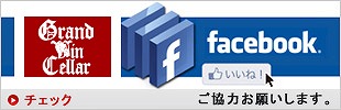 GVフェイスブック